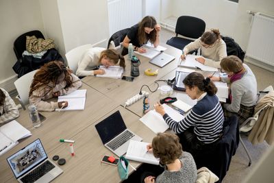 Ecologies of LLM Practices: an inquiry on daily professional usage of LLMs